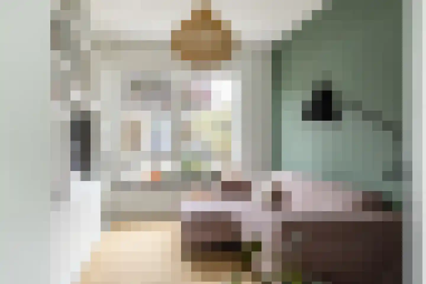 Dokter De Vliegerstraat 3 Heinenoord thumbnail 25