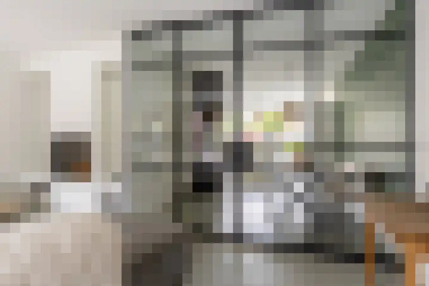 Dokter De Vliegerstraat 3 Heinenoord thumbnail 26
