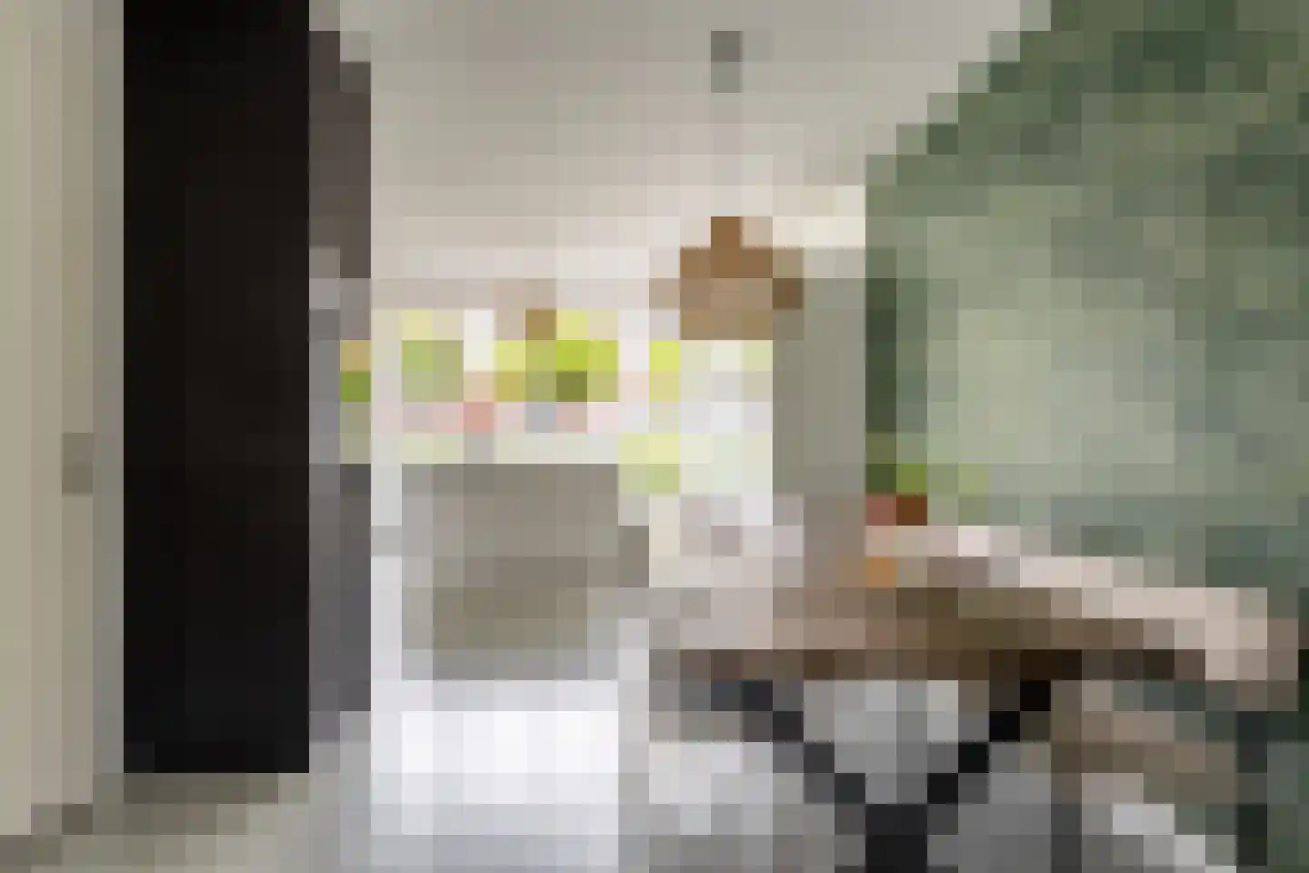 Dokter De Vliegerstraat 3 Heinenoord thumbnail 28