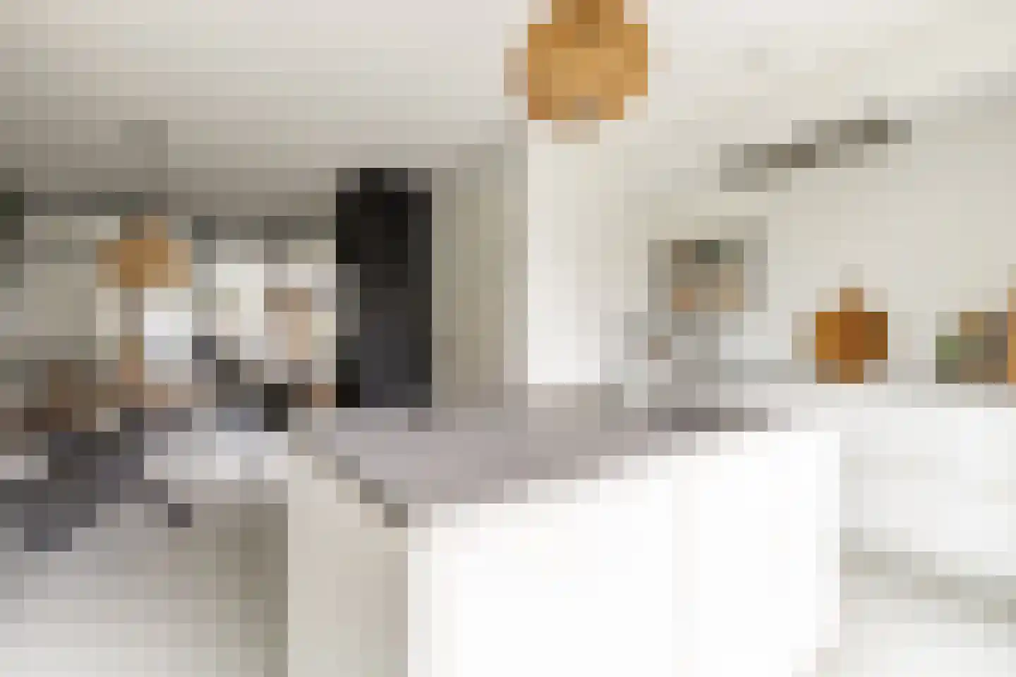 Dokter De Vliegerstraat 3 Heinenoord thumbnail 29