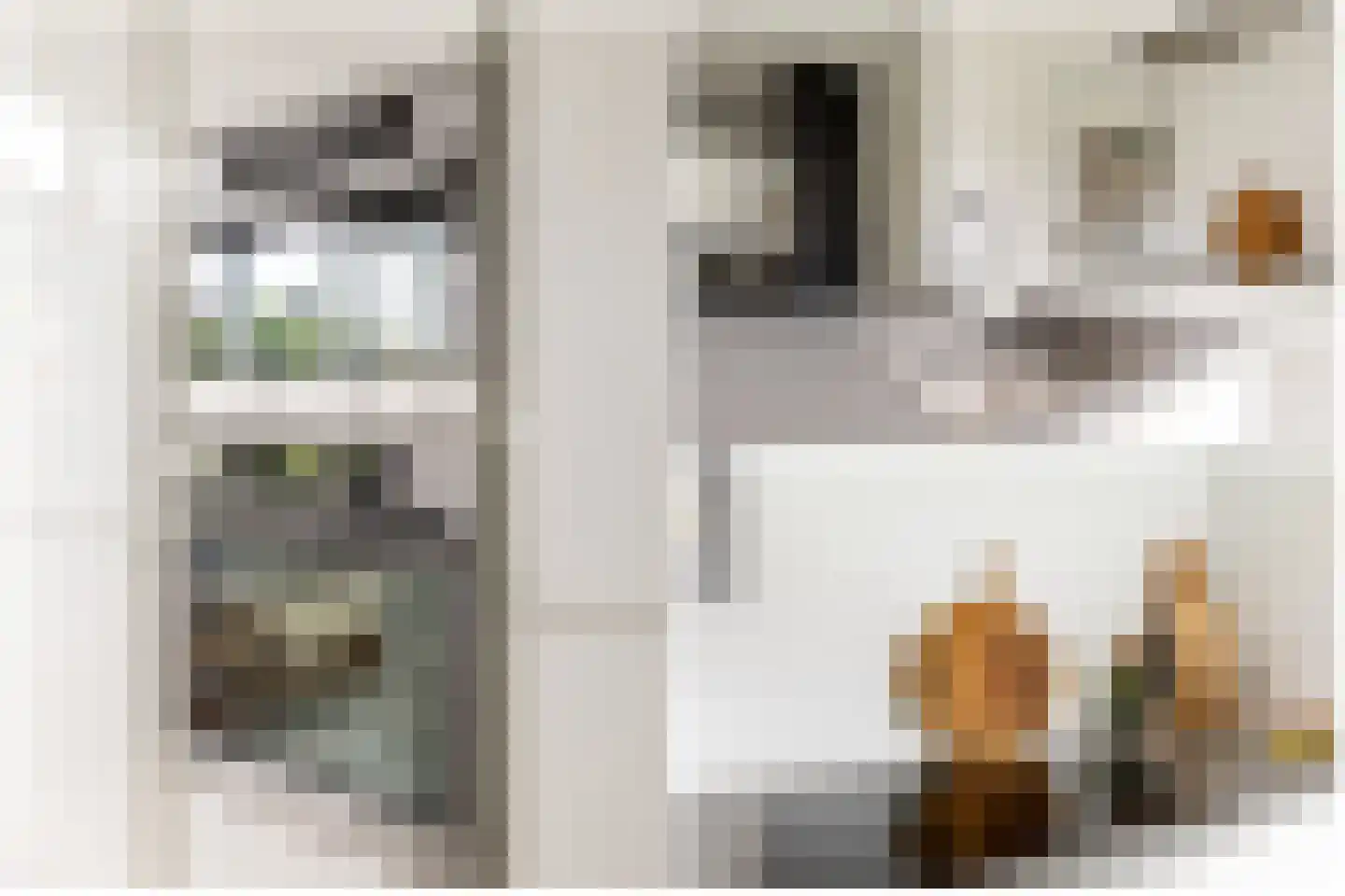 Dokter De Vliegerstraat 3 Heinenoord thumbnail 31