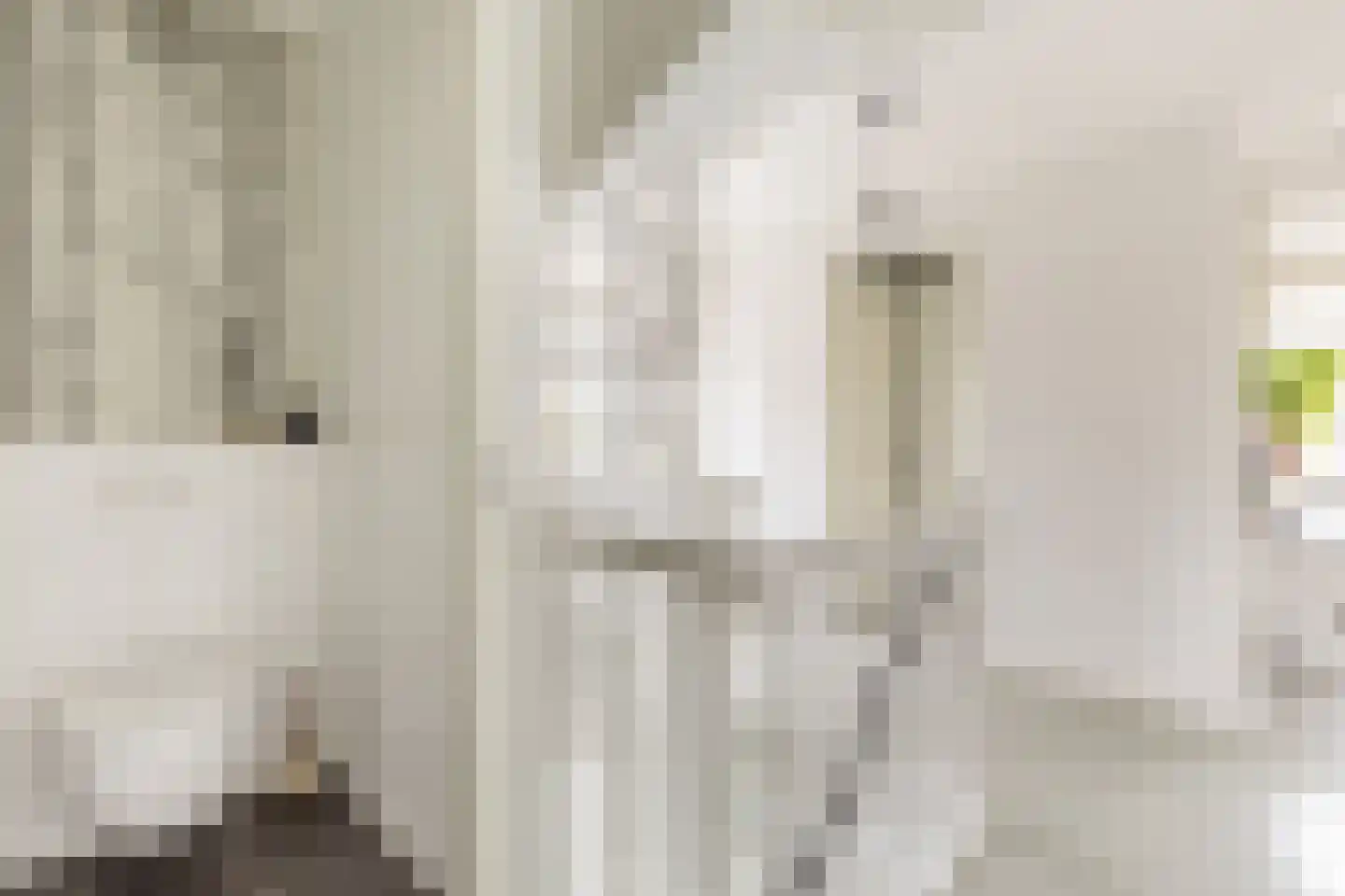 Dokter De Vliegerstraat 3 Heinenoord thumbnail 33