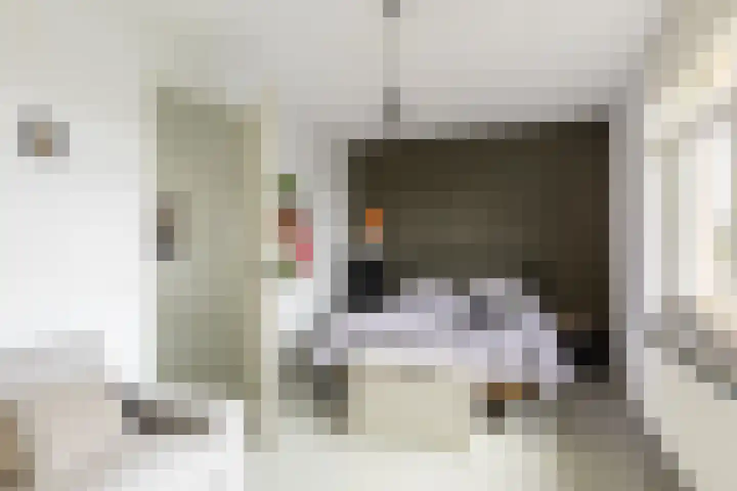 Dokter De Vliegerstraat 3 Heinenoord thumbnail 36