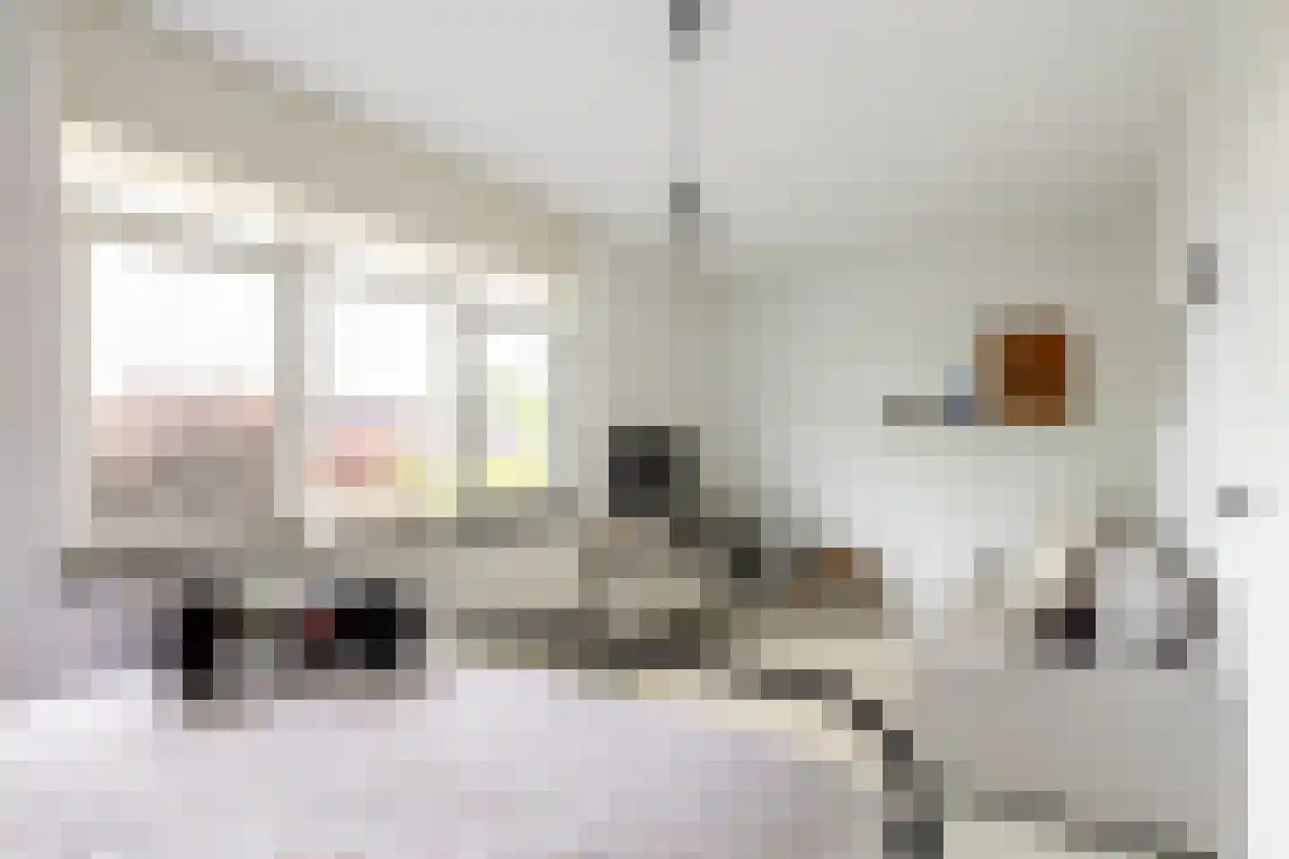 Dokter De Vliegerstraat 3 Heinenoord thumbnail 37