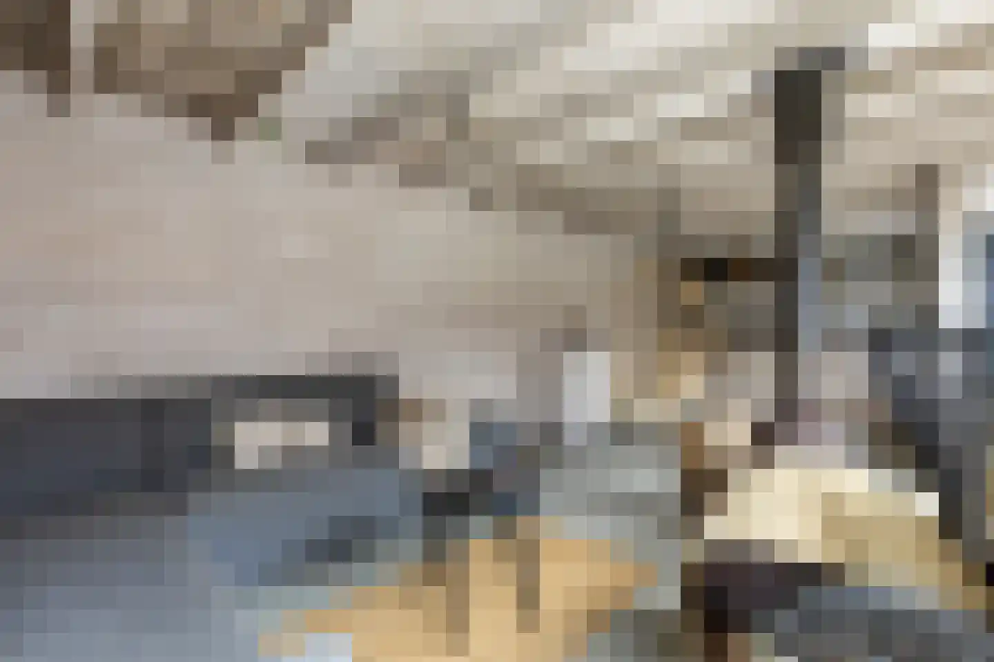 Dokter De Vliegerstraat 3 Heinenoord thumbnail 4