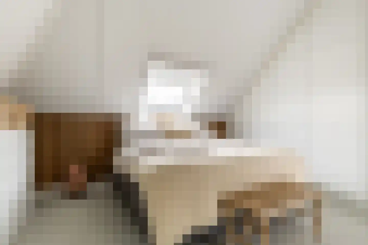 Dokter De Vliegerstraat 3 Heinenoord thumbnail 41