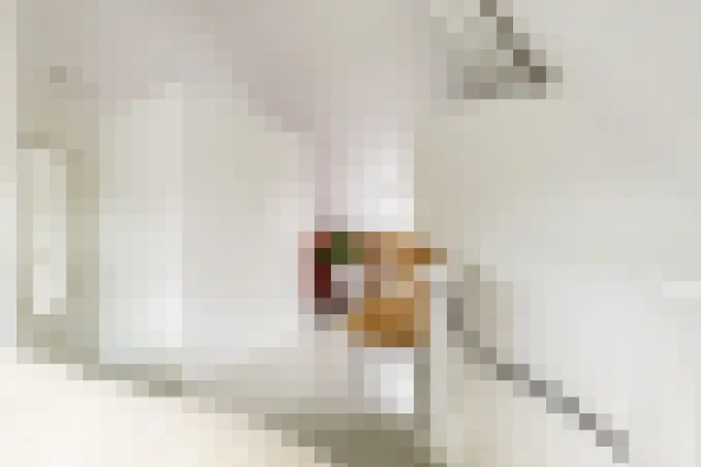 Dokter De Vliegerstraat 3 Heinenoord thumbnail 42