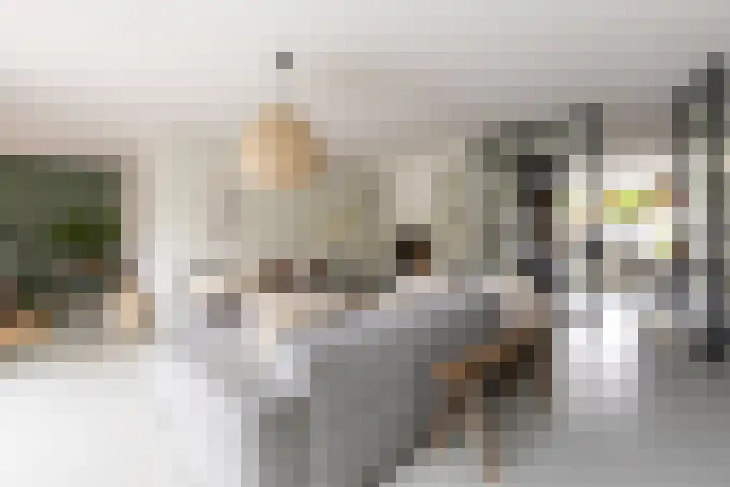 Dokter De Vliegerstraat 3 Heinenoord thumbnail 5