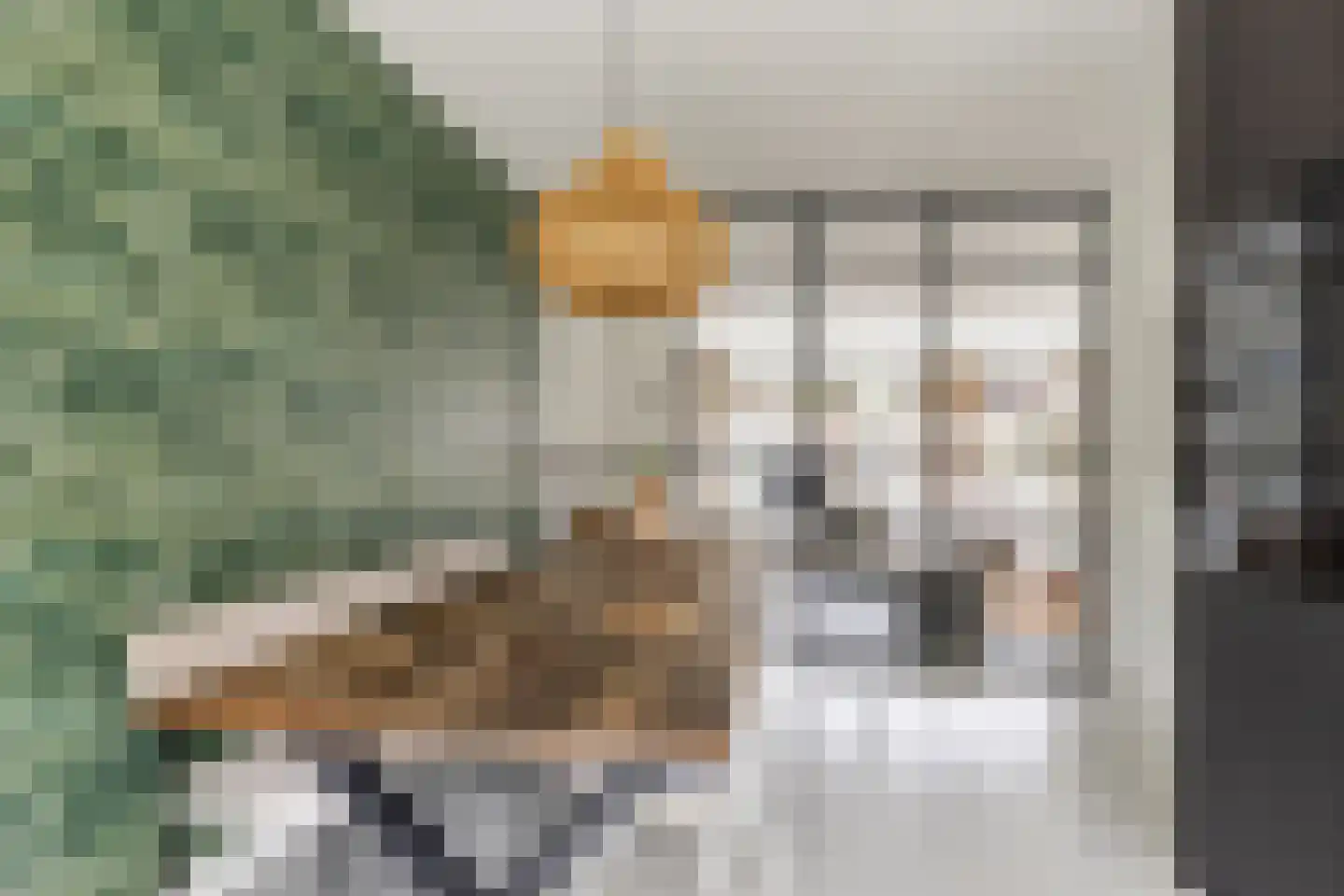 Dokter De Vliegerstraat 3 Heinenoord thumbnail 6