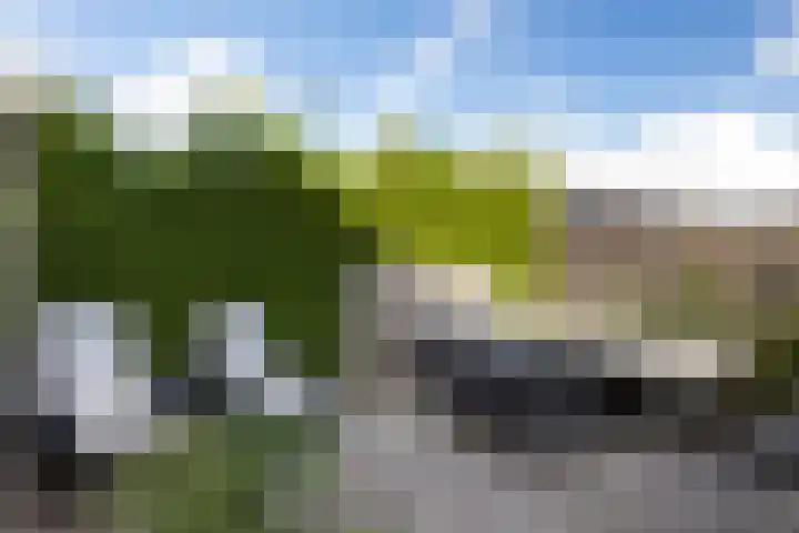 Dokter de Voslaan 30 Soest thumbnail 22