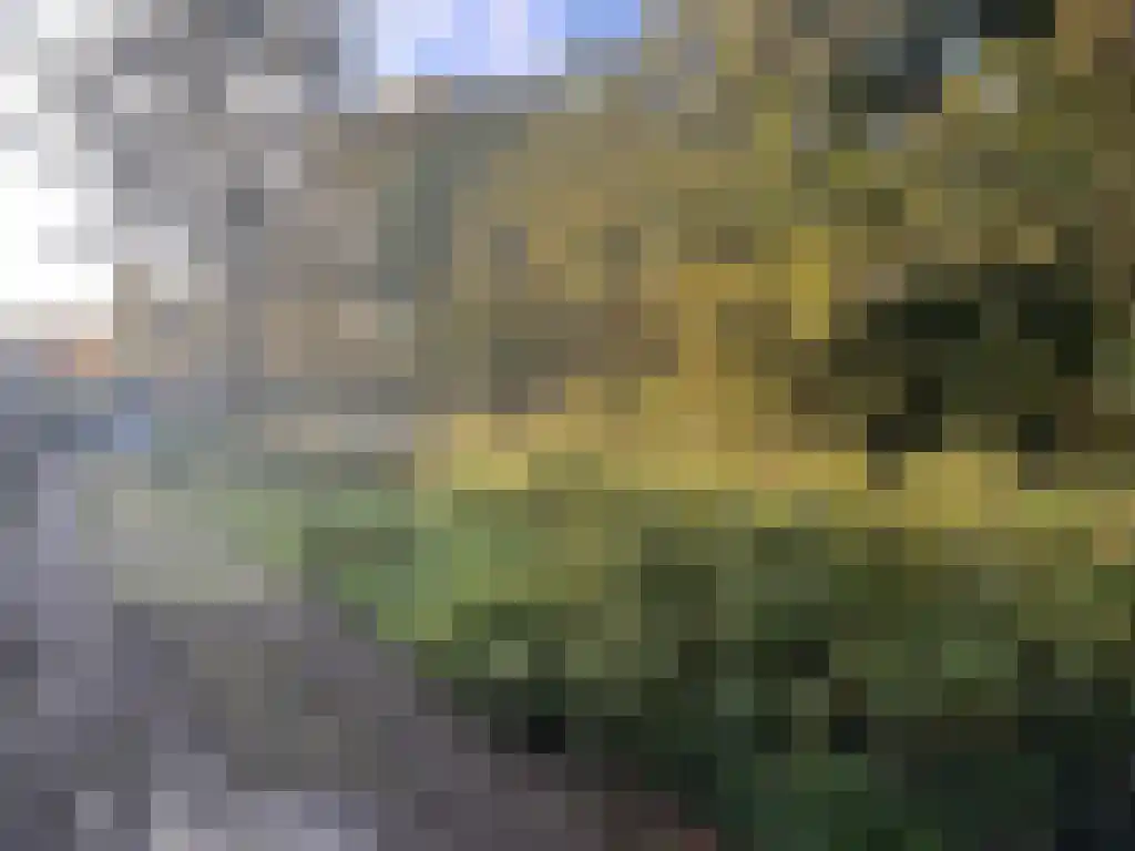 Dokter de Voslaan Soest thumbnail 7
