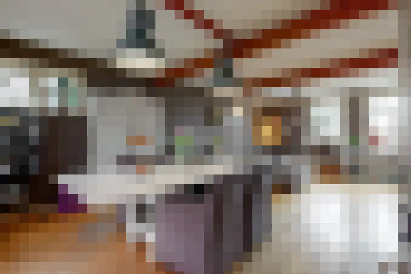 Dokter de Vriesstraat 11 Benningbroek thumbnail 11