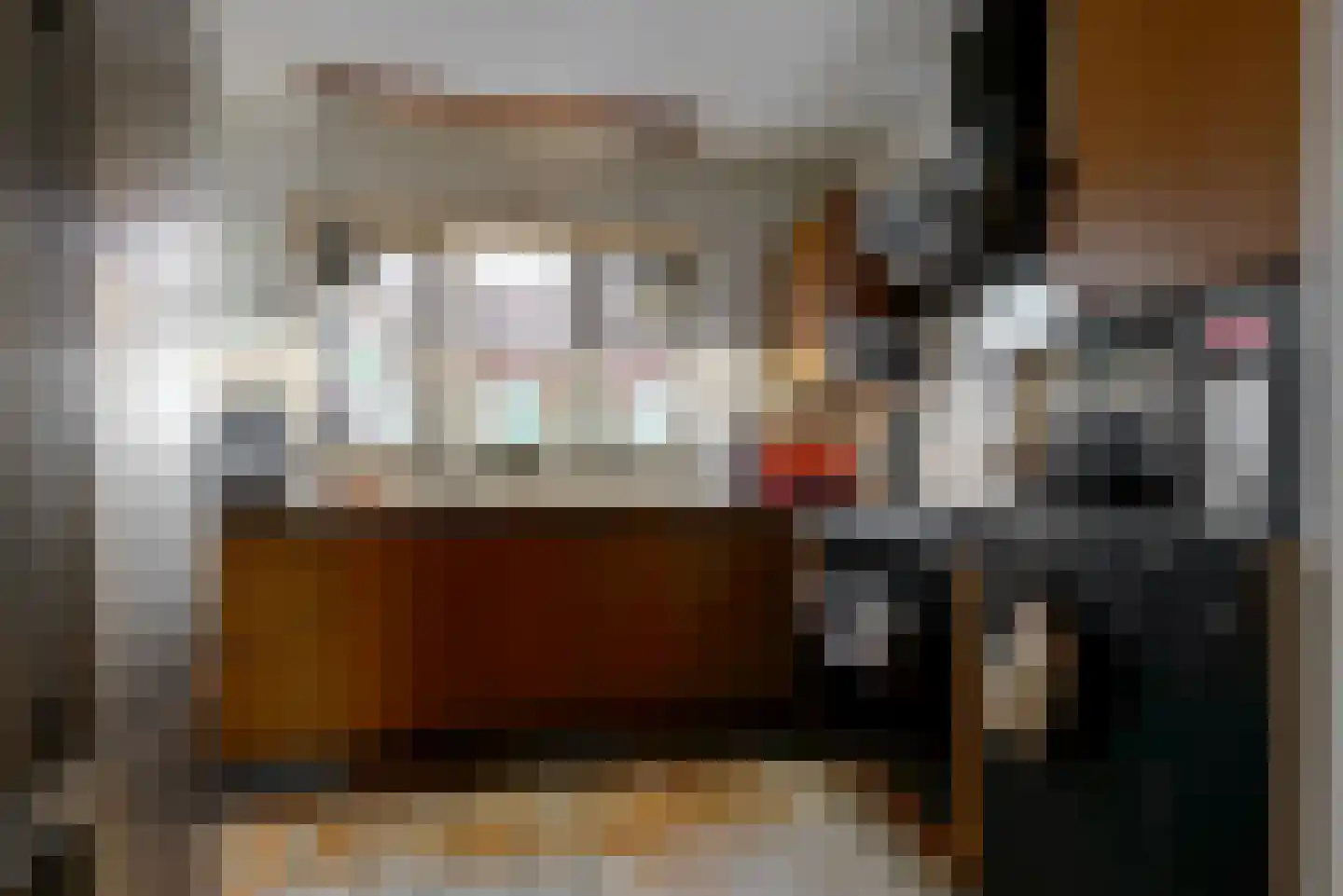 Dokter de Vriesstraat 11 Benningbroek thumbnail 12
