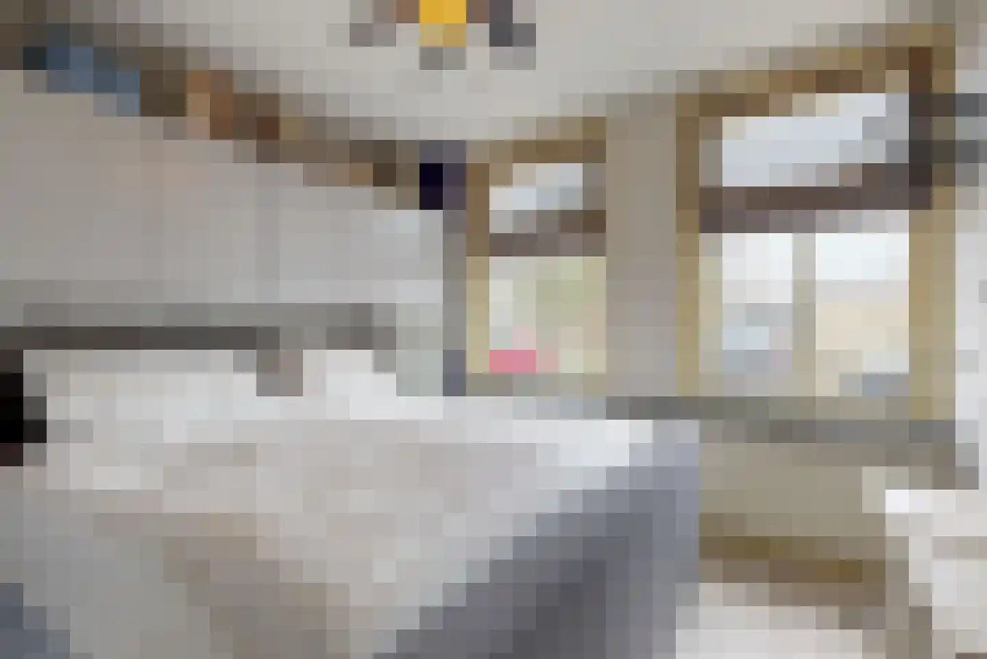 Dokter de Vriesstraat 11 Benningbroek thumbnail 17