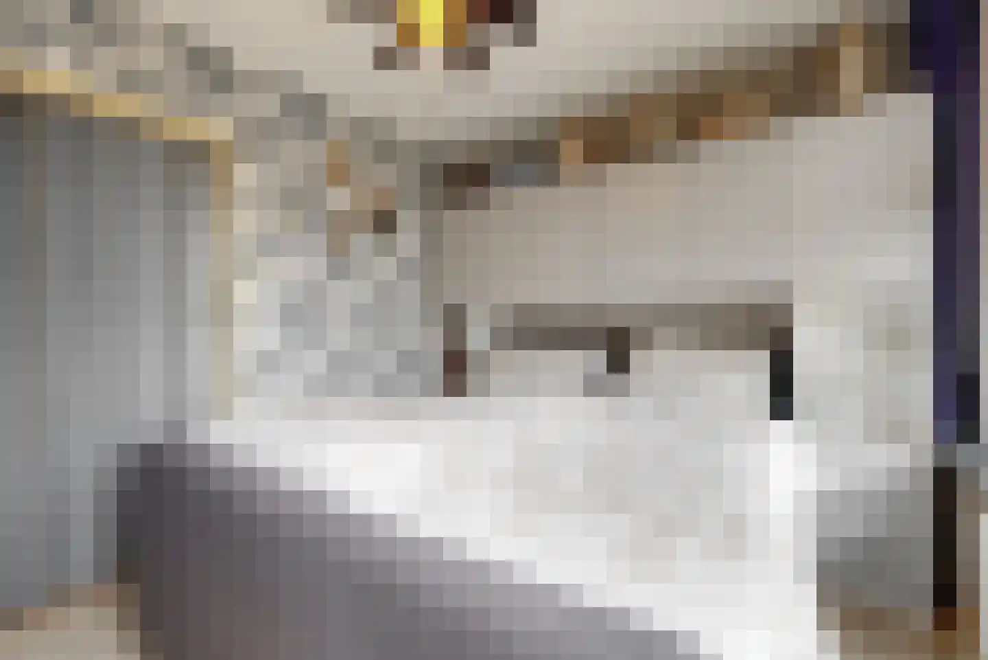 Dokter de Vriesstraat 11 Benningbroek thumbnail 18