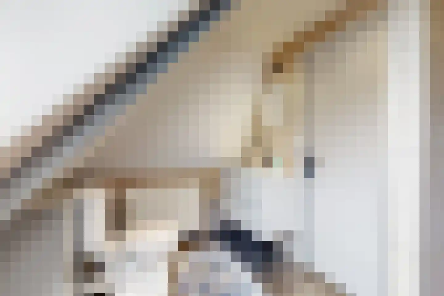 Dokter de Vriesstraat 11 Benningbroek thumbnail 22
