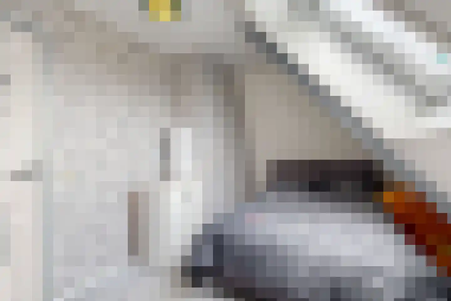 Dokter de Vriesstraat 11 Benningbroek thumbnail 24