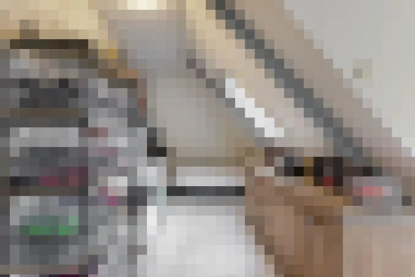 Dokter de Vriesstraat 11 Benningbroek thumbnail 25