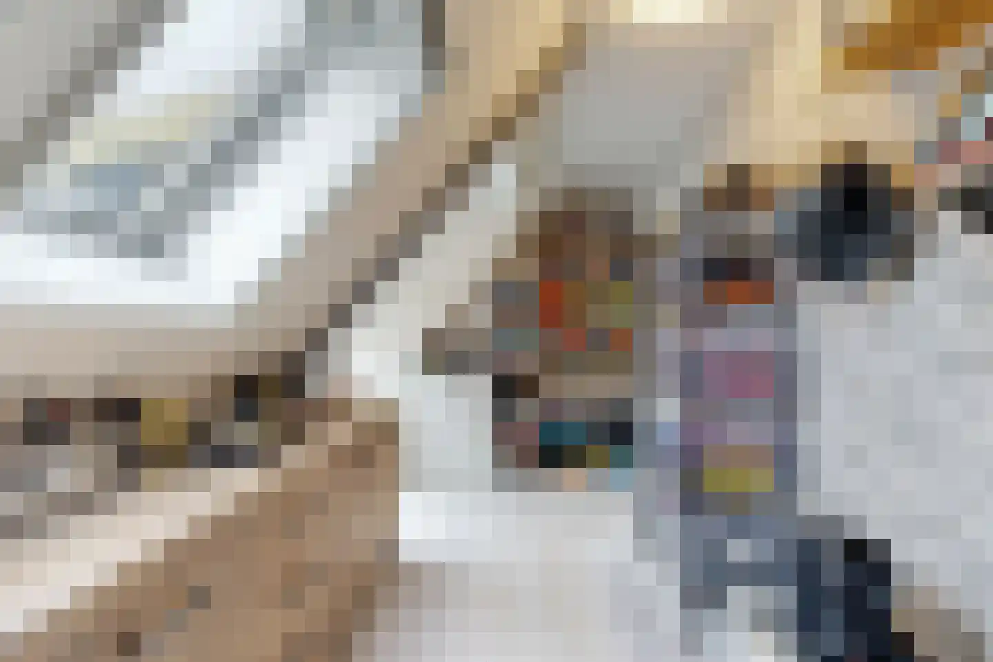 Dokter de Vriesstraat 11 Benningbroek thumbnail 26