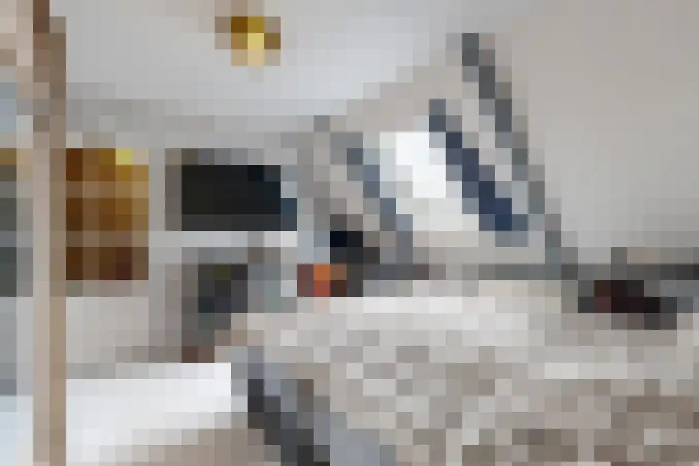 Dokter de Vriesstraat 11 Benningbroek thumbnail 28
