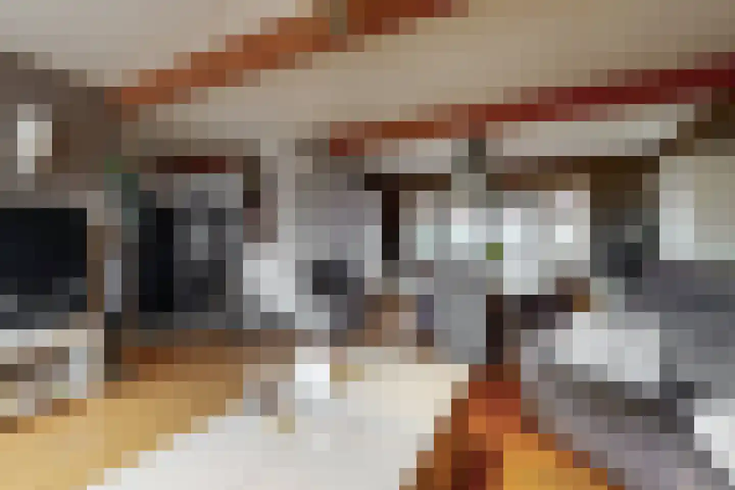 Dokter de Vriesstraat 11 Benningbroek thumbnail 4