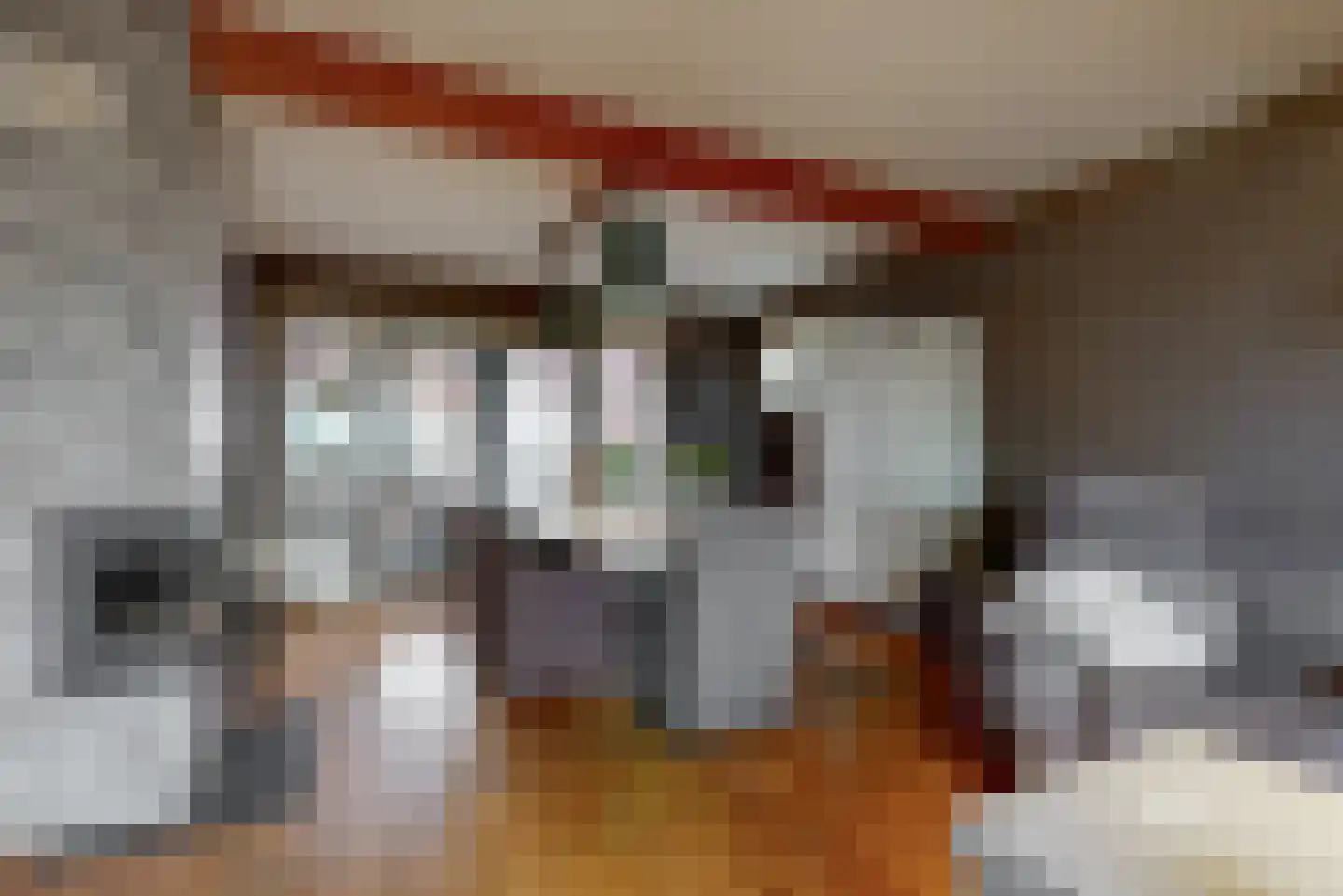 Dokter de Vriesstraat 11 Benningbroek thumbnail 5