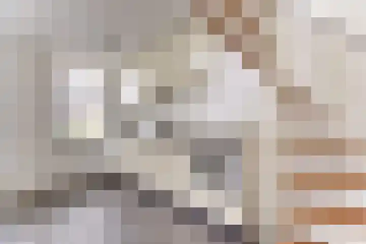 Dokter de Vriesstraat 13 Benningbroek thumbnail 11