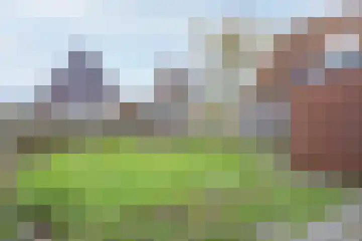 Dokter de Vriesstraat 13 Benningbroek thumbnail 29