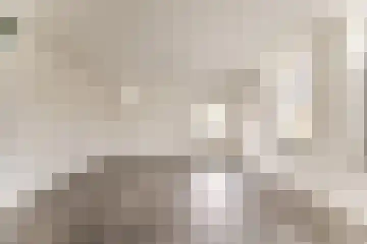 Dokter de Vriesstraat 13 Benningbroek thumbnail 9