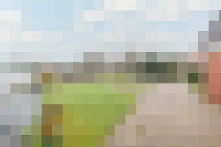 Dokter de Vriesstraat 27 Benningbroek thumbnail 30