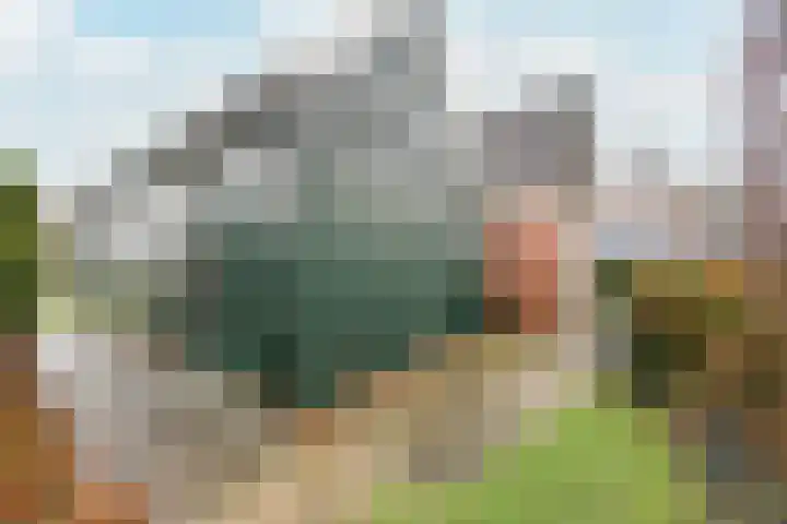 Dokter de Vriesstraat 27 Benningbroek thumbnail 32