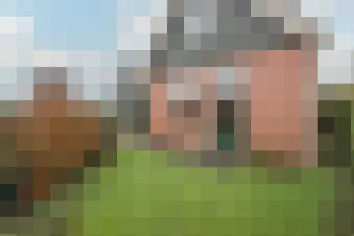 Dokter de Vriesstraat 27 Benningbroek thumbnail 33