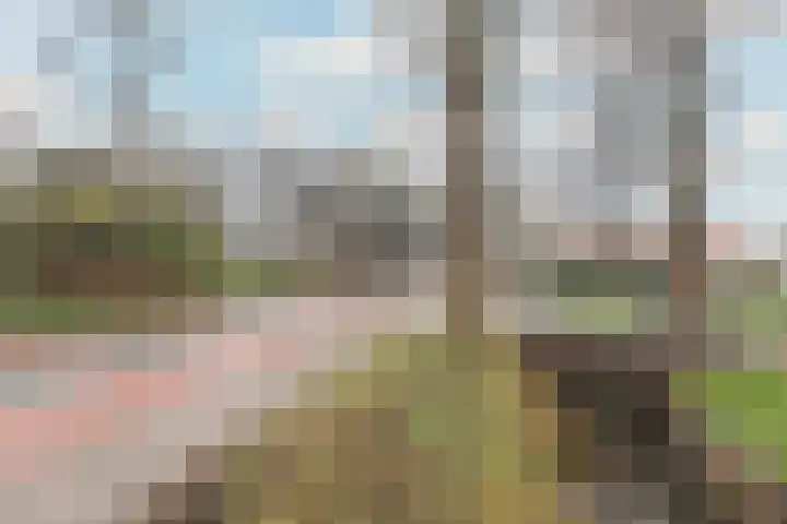 Dokter de Vriesstraat 27 Benningbroek thumbnail 37