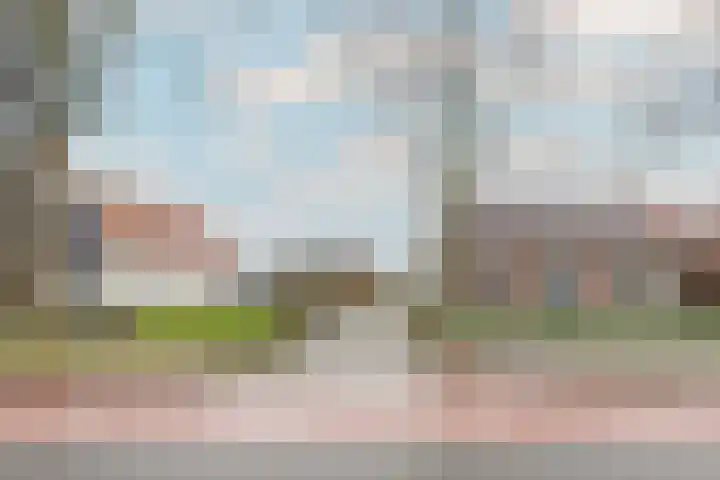 Dokter de Vriesstraat 27 Benningbroek thumbnail 39