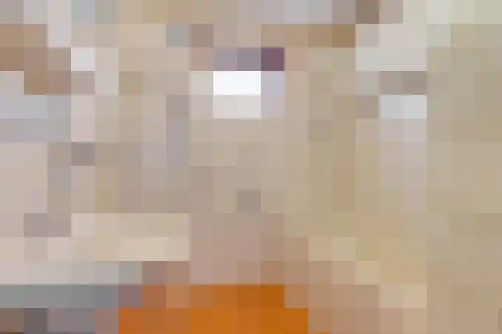 Dokter de Vriesstraat 27 Benningbroek thumbnail 4