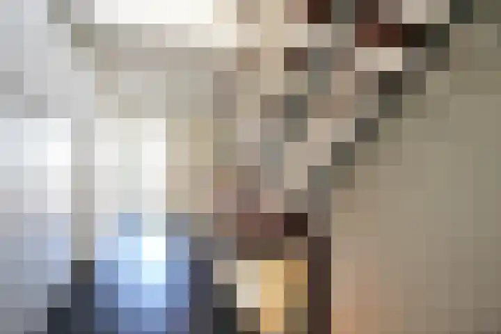 Dokter de Weverlaan 1 Heerlen thumbnail 26