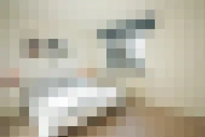 Dokter de Weverlaan 1 Heerlen thumbnail 37