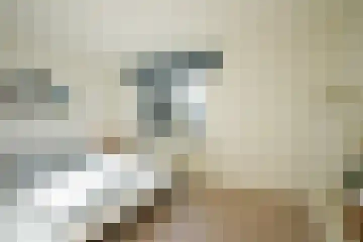 Dokter de Weverlaan 1 Heerlen thumbnail 38