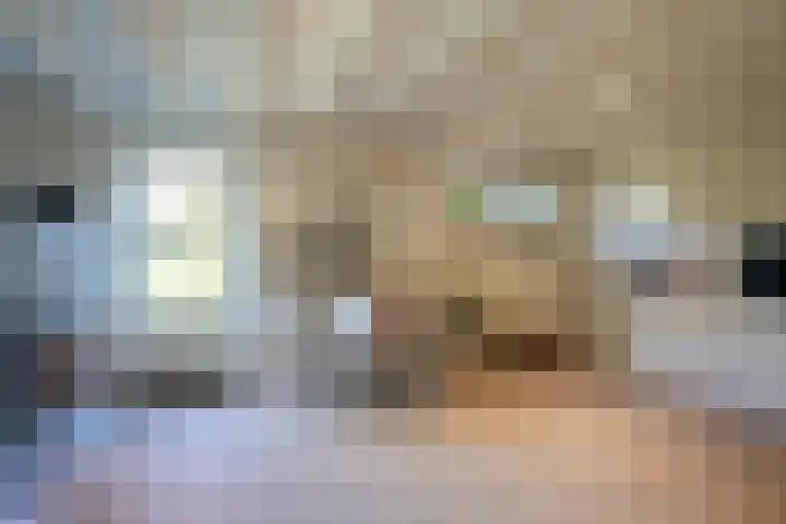 Dokter de Weverlaan 1 Heerlen thumbnail 44