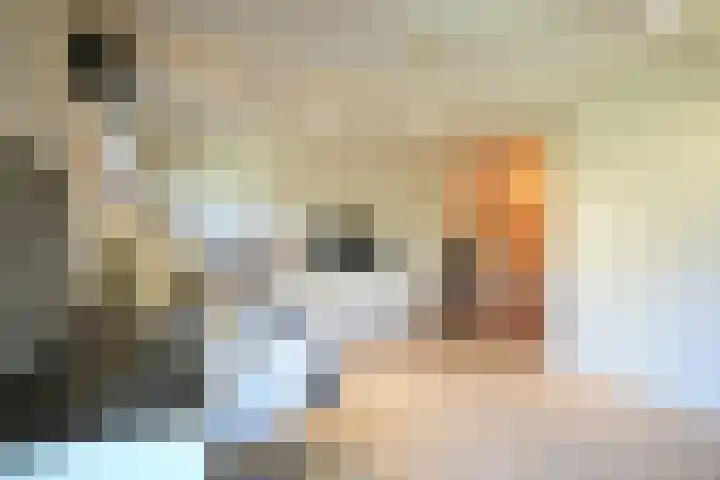 Dokter de Weverlaan 1 Heerlen thumbnail 45