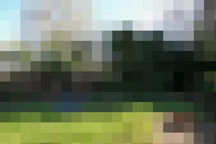 Dokter de Weverlaan 1 Heerlen thumbnail 56