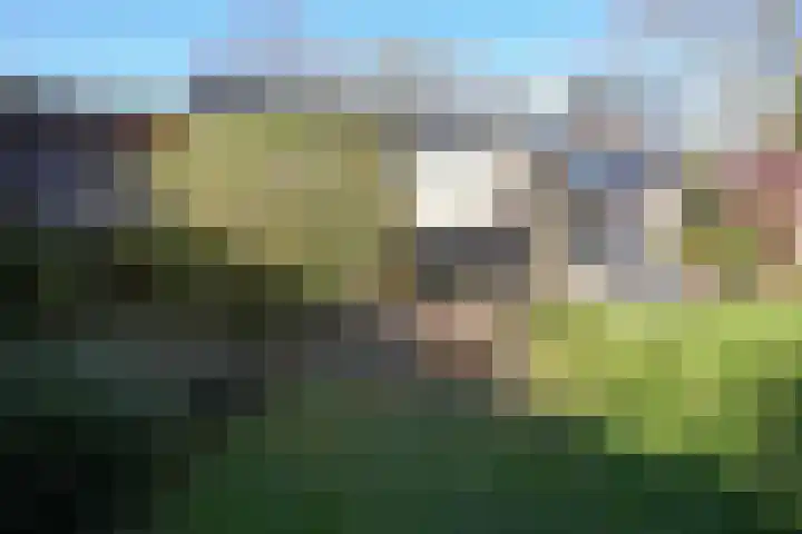 Dokter de Weverlaan 1 Heerlen thumbnail 58