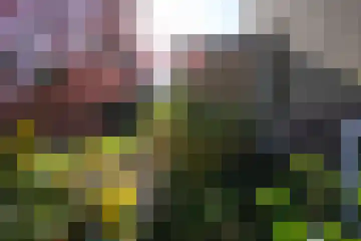 Dokter de Weverlaan 1 Heerlen thumbnail 64