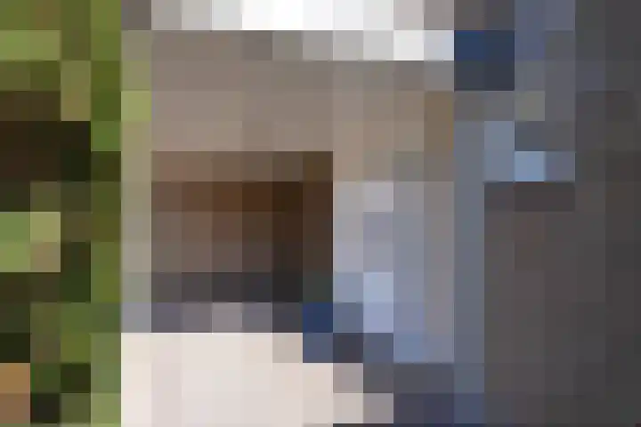 Dokter de Weverlaan 1 Heerlen thumbnail 70