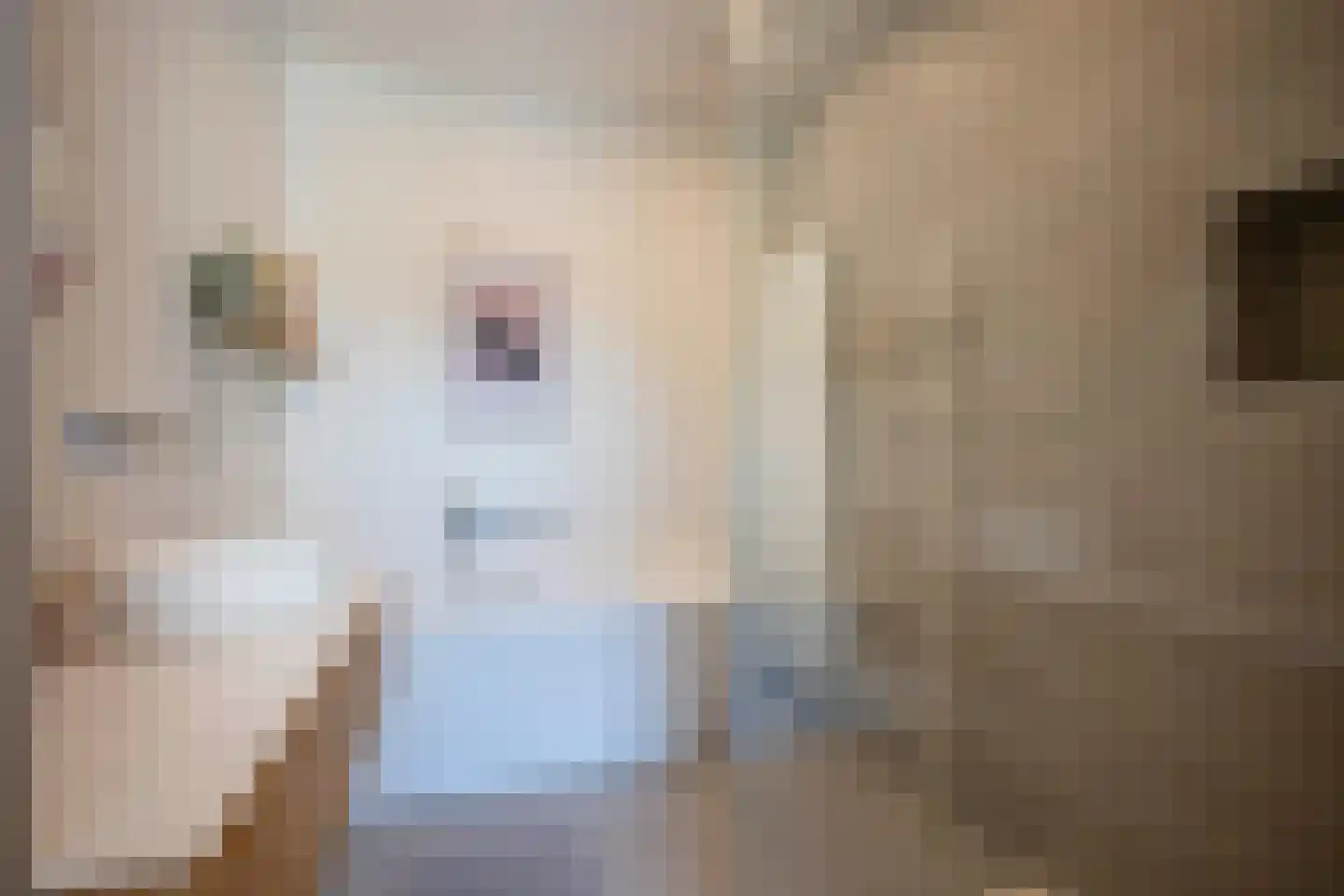 Dokter de Weverlaan 12 Heerlen thumbnail 18