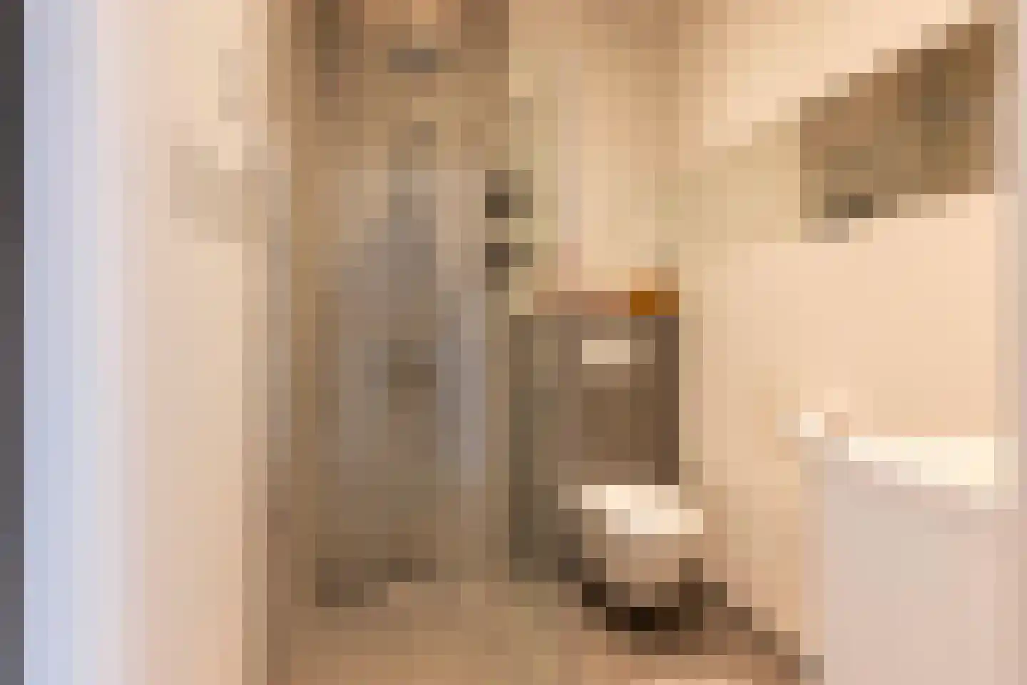 Dokter de Weverlaan 12 Heerlen thumbnail 26