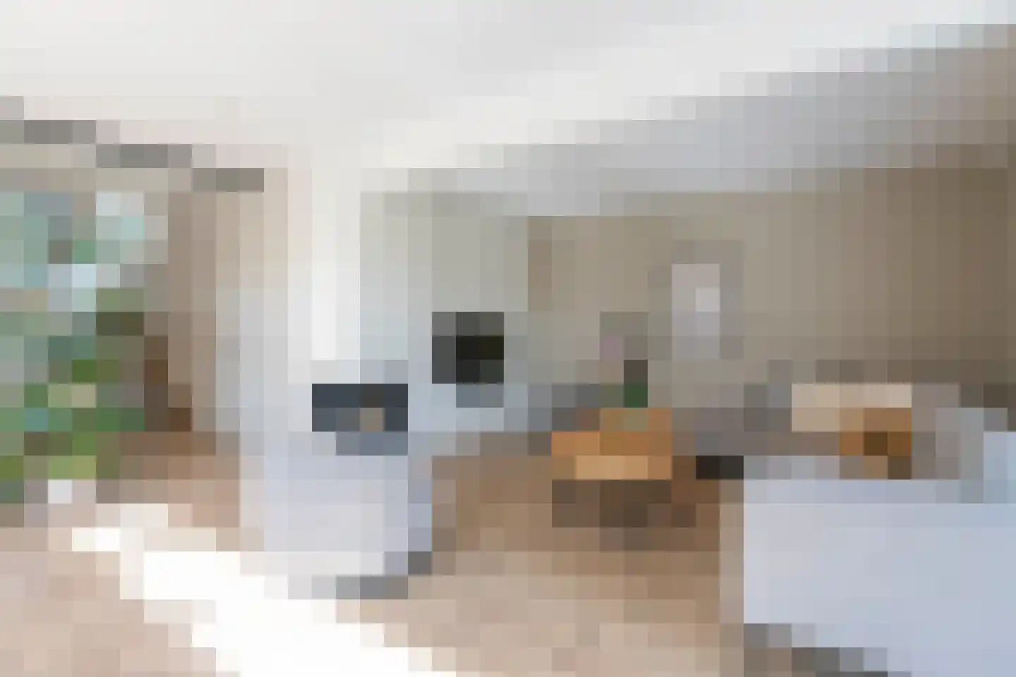 Dokter de Weverlaan 12 Heerlen thumbnail 5