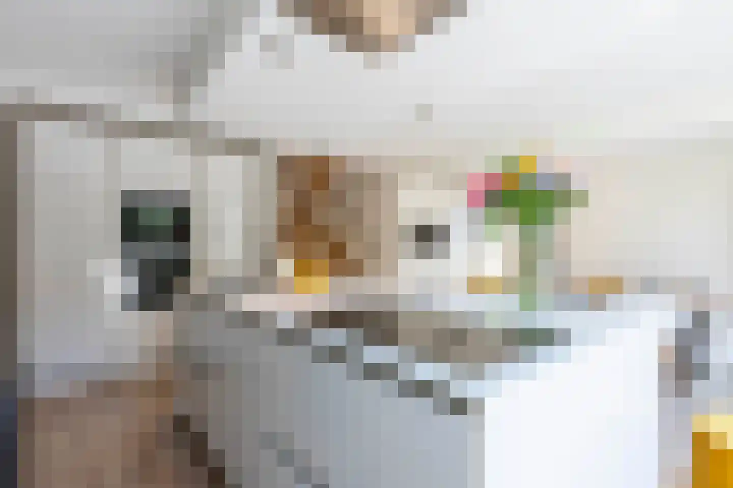 Dokter de Weverlaan 12 Heerlen thumbnail 7