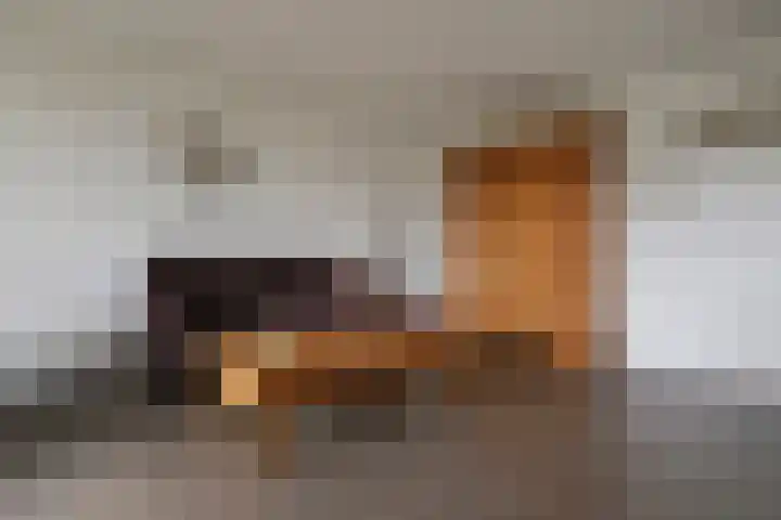 Dokter de Witstraat 19 Noord-Scharwoude thumbnail 8