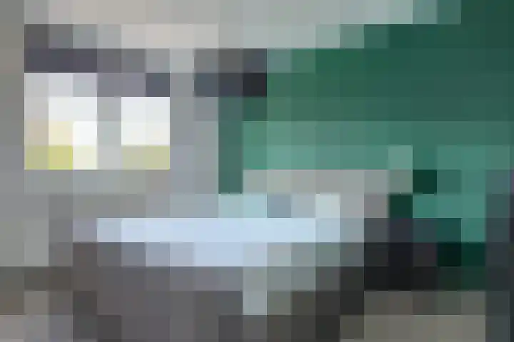 Dokter de Witstraat 6 Noord-Scharwoude thumbnail 21